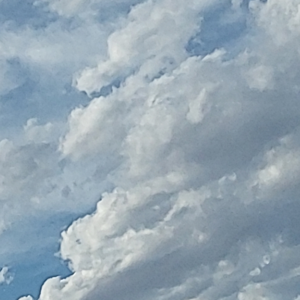 Meet your Posher, Monica